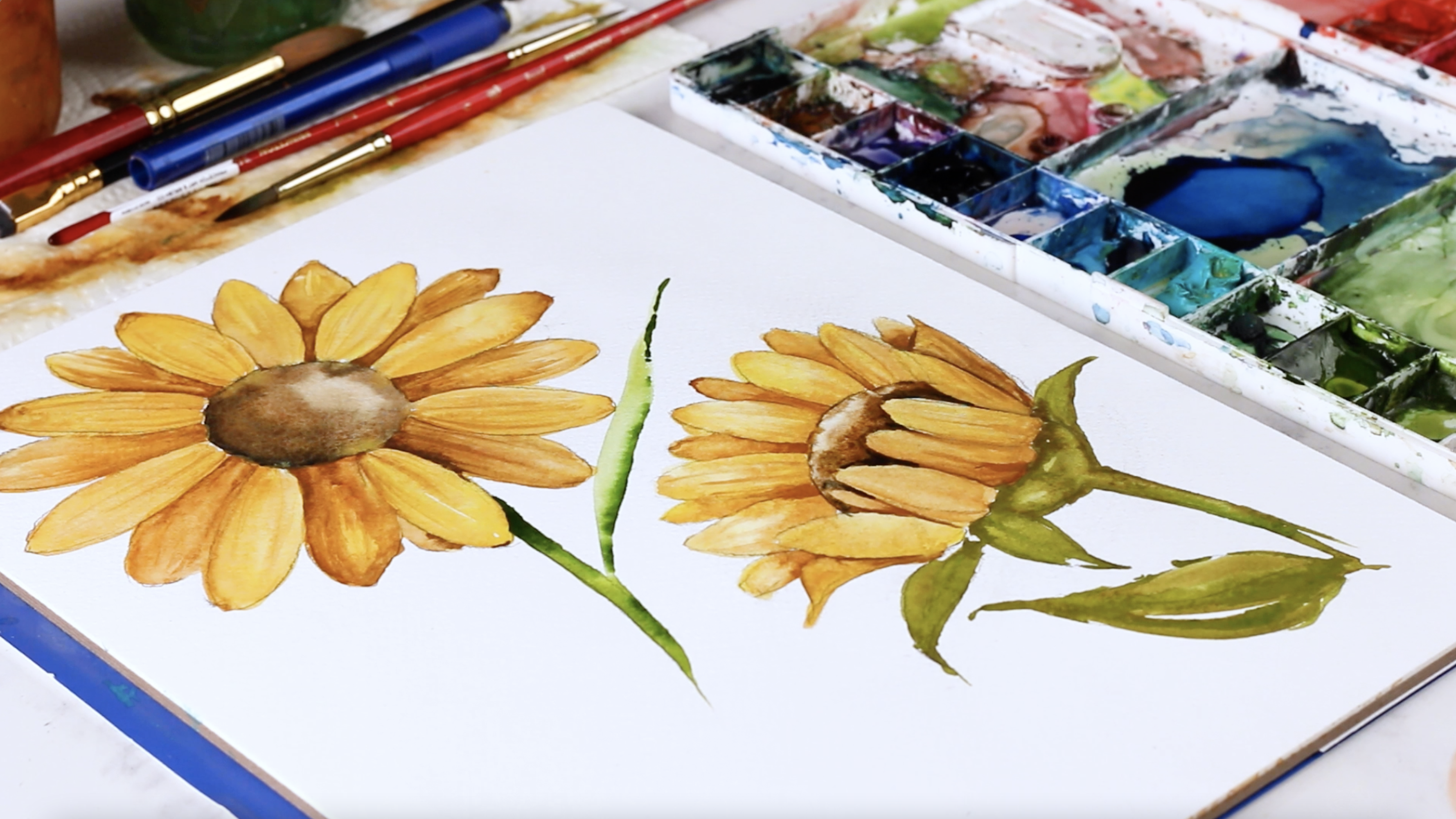 Watercolor for Beginners with Jenna Rainey 